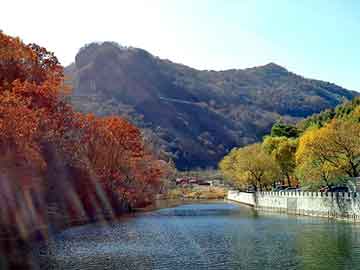 新澳天天开奖资料大全旅游团，上海屋顶绿化